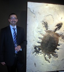 Eostone Fossil Creations