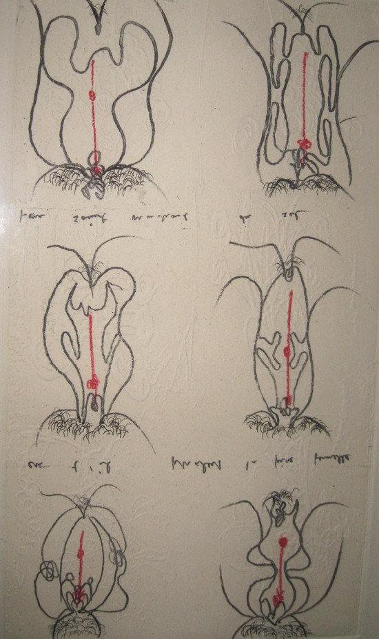 Matta Etching “Fecondite”
