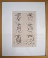 Matta Etching “Fecondite”