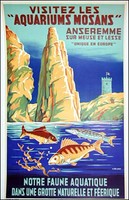 Aquariums Mosans Poster